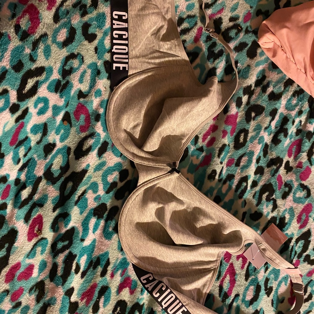 Lanebryant 46 D Bra